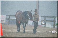 4H-3rd--073016-1213.jpg