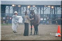 4H-3rd--073016-1220.jpg