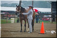 4H-3rd--073016-1230.jpg