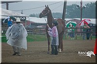 4H-3rd--073016-1238.jpg