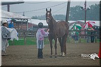 4H-3rd--073016-1240.jpg