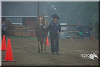 4H-3rd--073016-1241.jpg