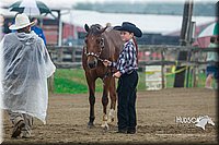 4H-3rd--073016-1250.jpg