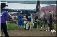 4H-3rd--073016-1259.jpg