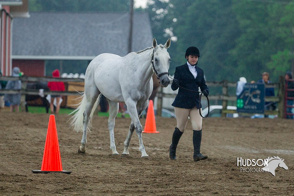 4H-3rd--073016-1313.jpg