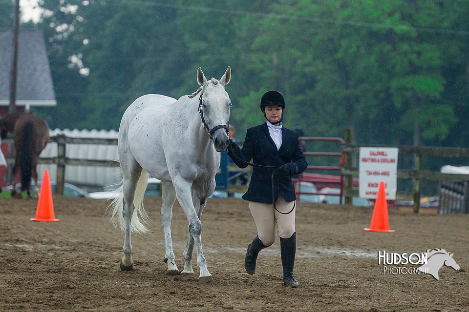 4H-3rd--073016-1315.jpg