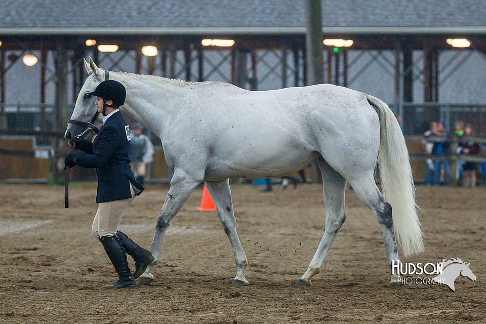 4H-3rd--073016-1318.jpg