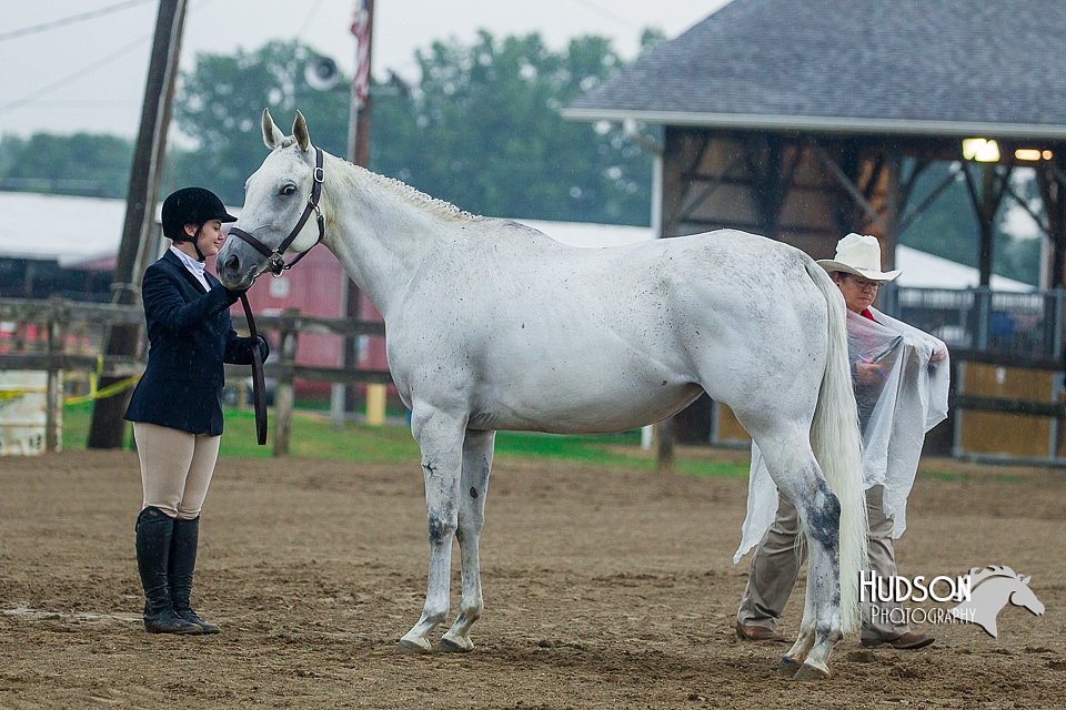 4H-3rd--073016-1321.jpg