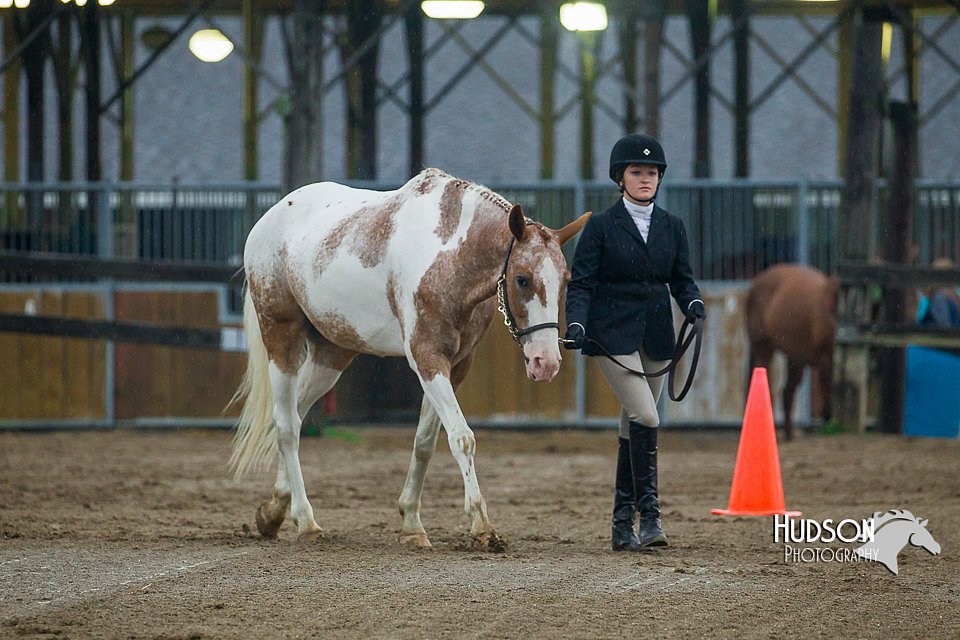 4H-3rd--073016-1323.jpg