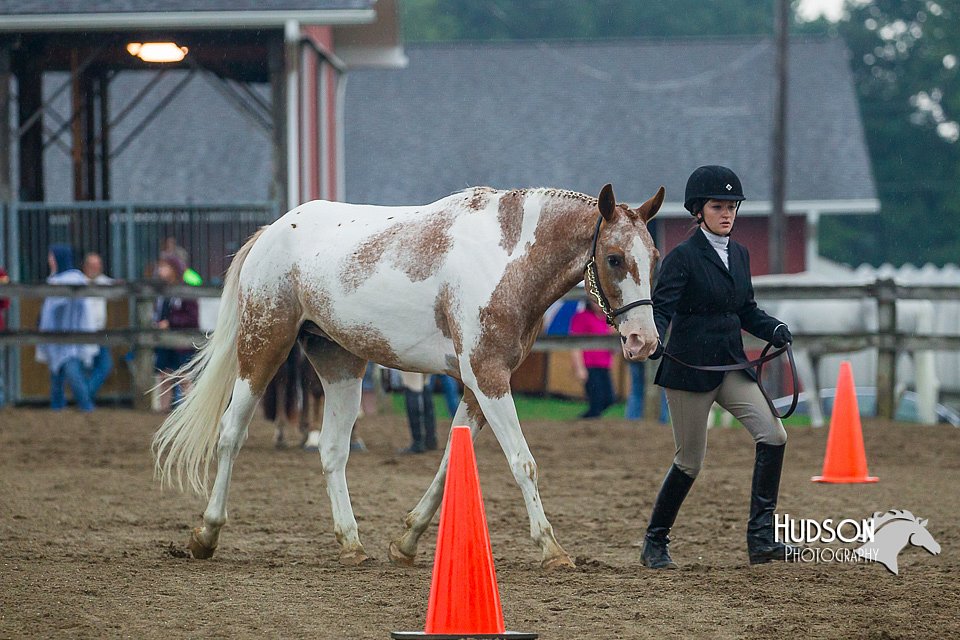 4H-3rd--073016-1324.jpg