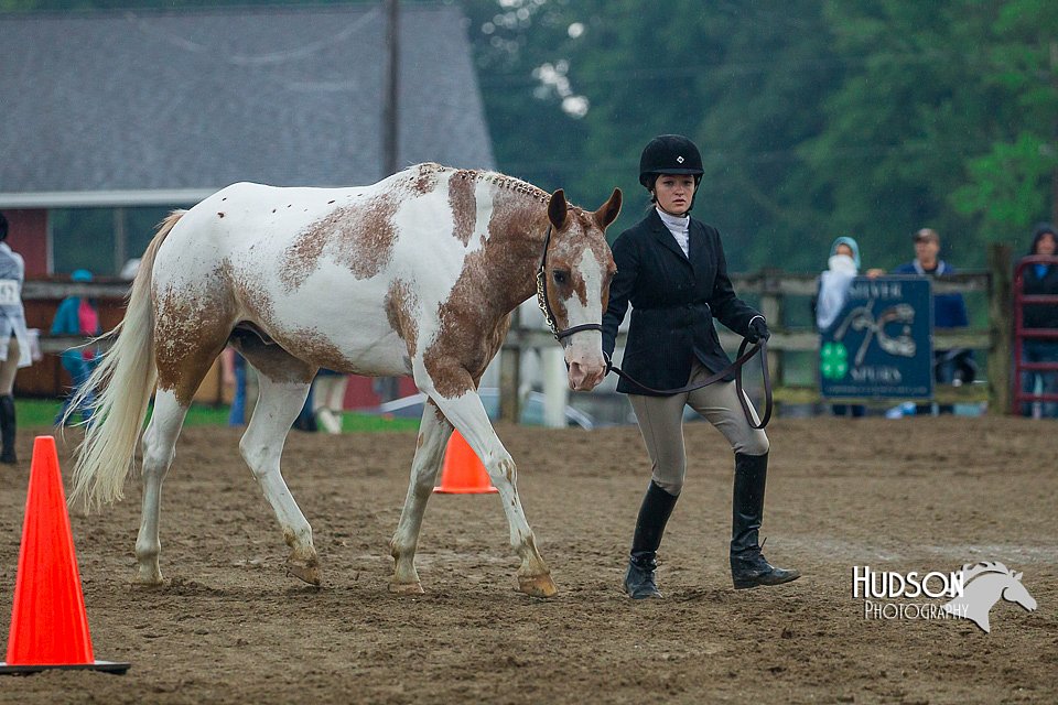 4H-3rd--073016-1325.jpg