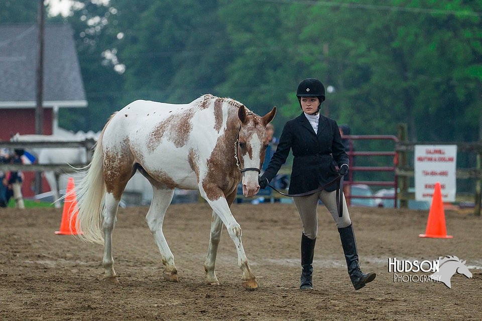 4H-3rd--073016-1326.jpg
