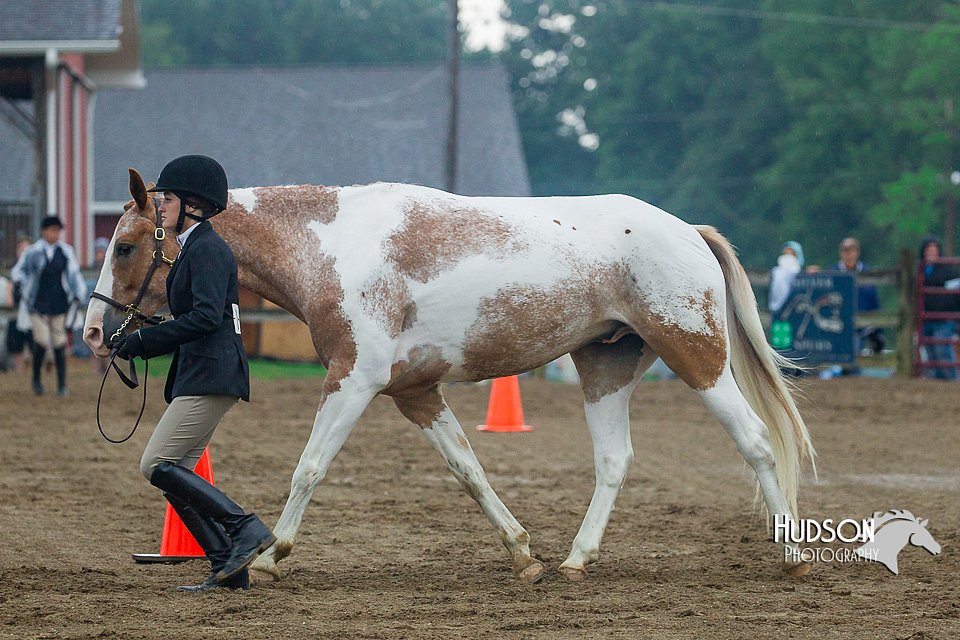 4H-3rd--073016-1328.jpg