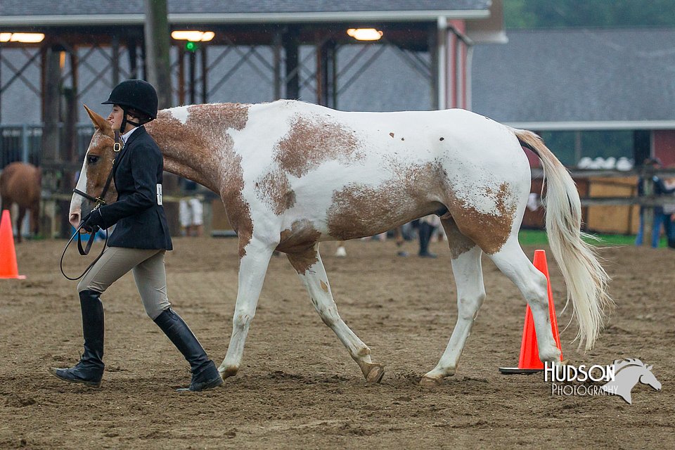 4H-3rd--073016-1329.jpg