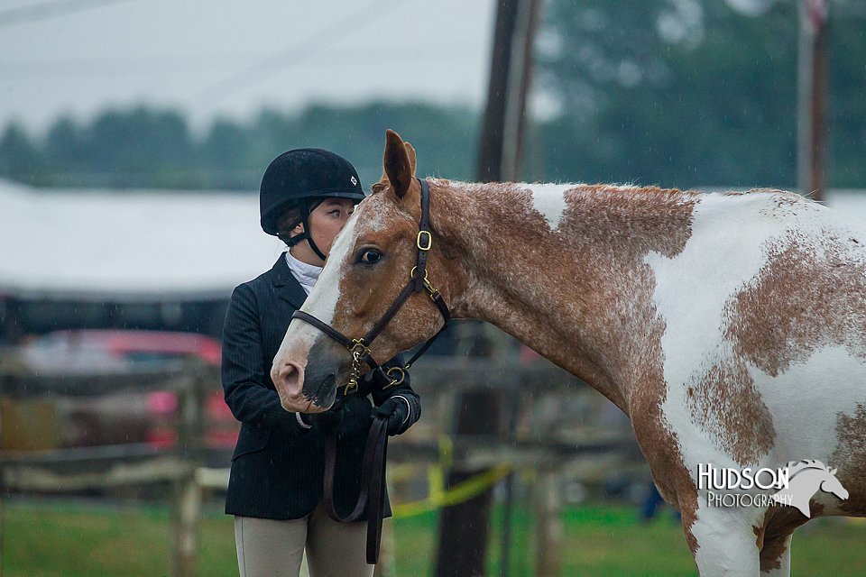 4H-3rd--073016-1334.jpg
