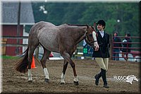 4H-3rd--073016-1295.jpg