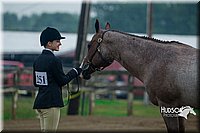 4H-3rd--073016-1306.jpg