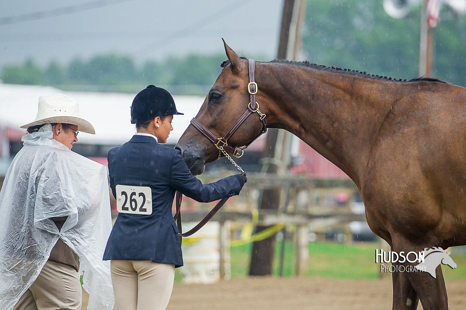 4H-3rd--073016-1388.jpg