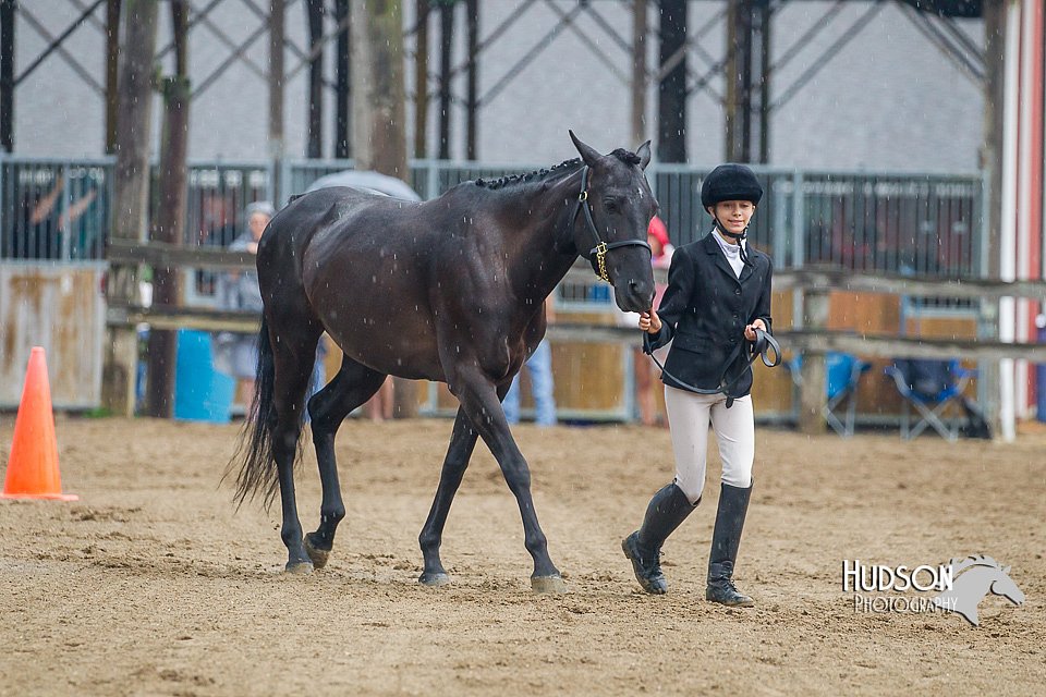4H-3rd--073016-1395.jpg