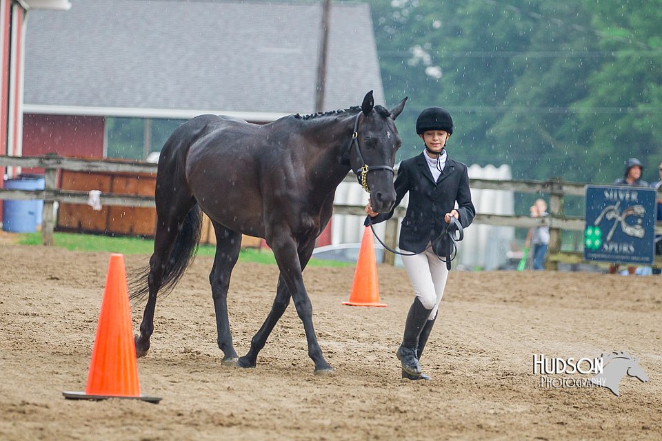 4H-3rd--073016-1396.jpg