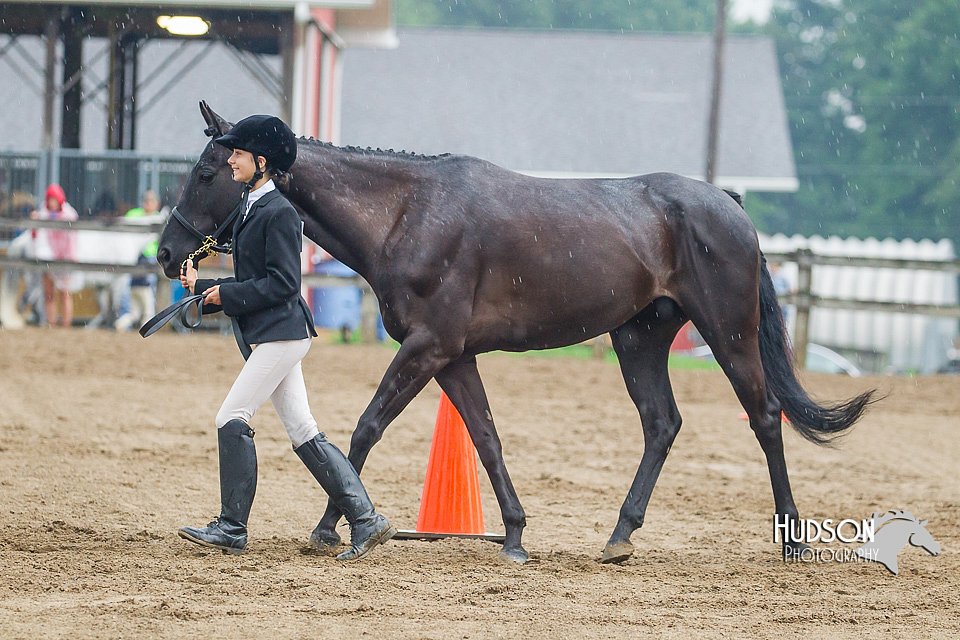 4H-3rd--073016-1399.jpg