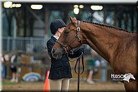 4H-3rd--073016-1363.jpg