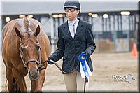 4H-3rd--073016-1410.jpg