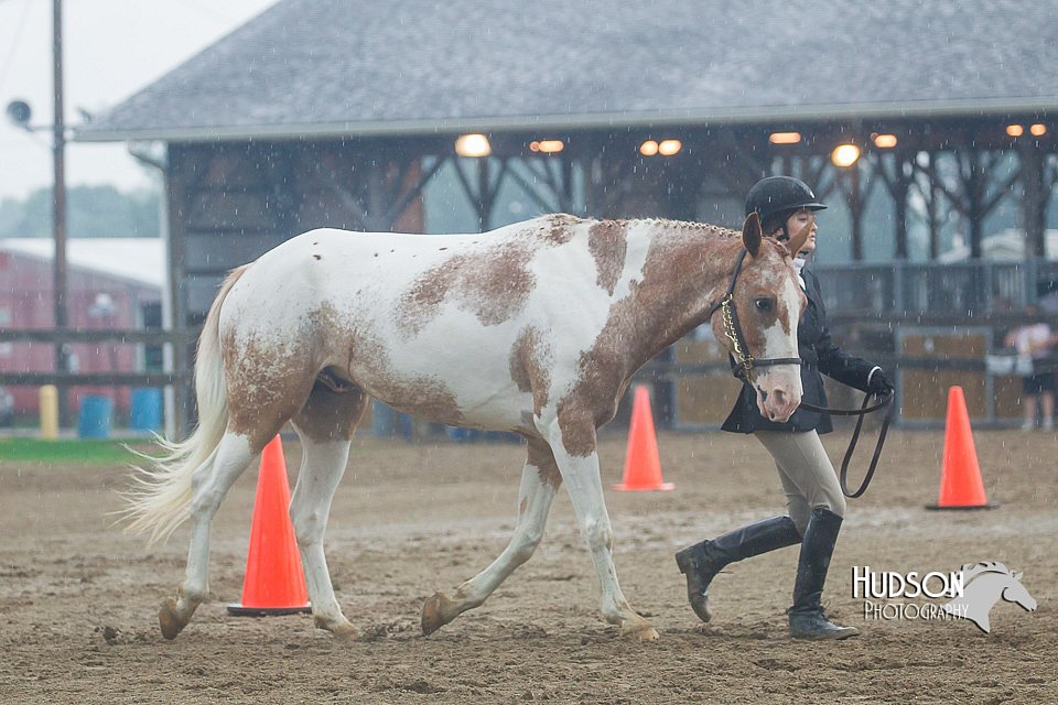 4H-3rd--073016-1482.jpg