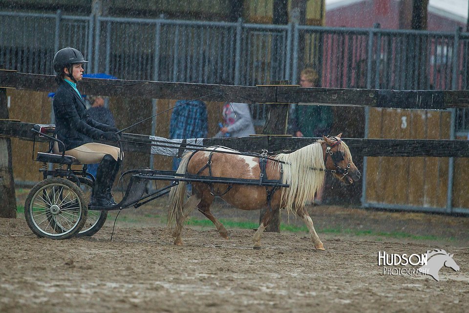 4H-3rd--073016-1512.jpg