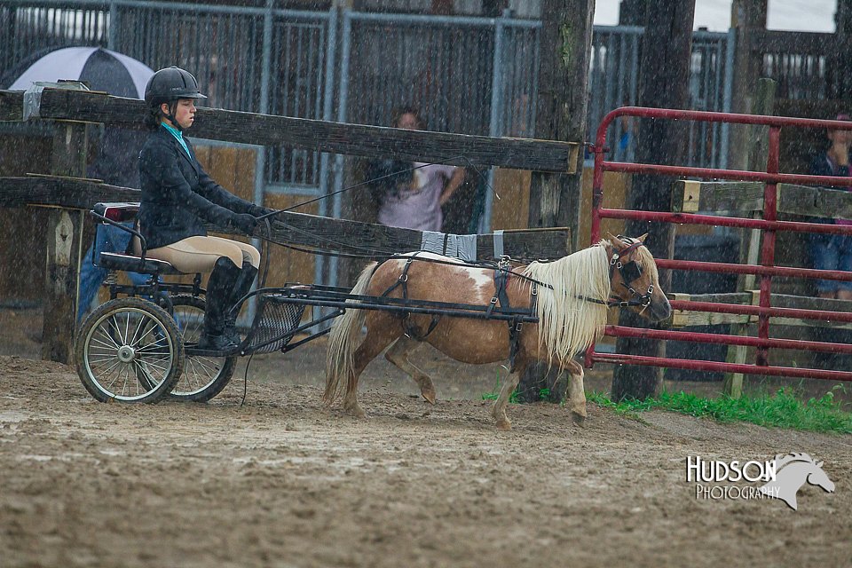 4H-3rd--073016-1513.jpg