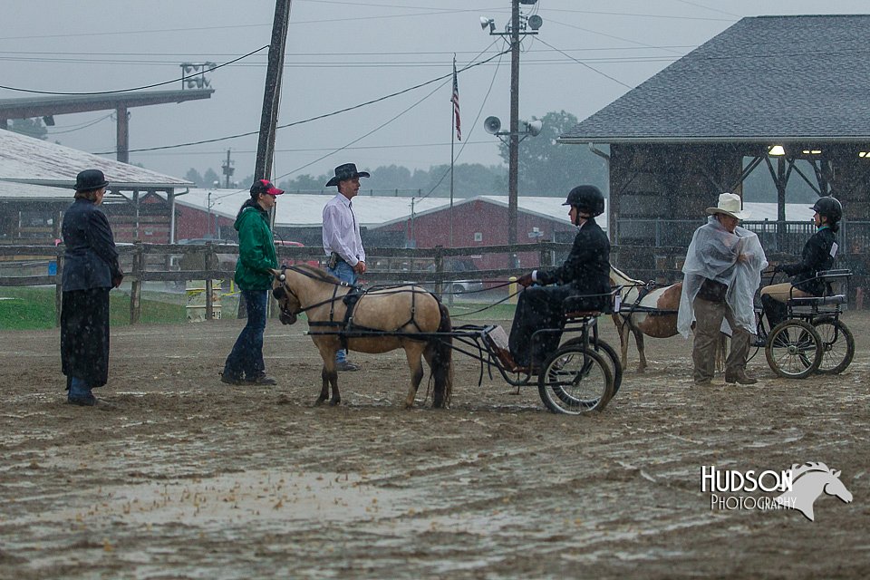 4H-3rd--073016-1517.jpg