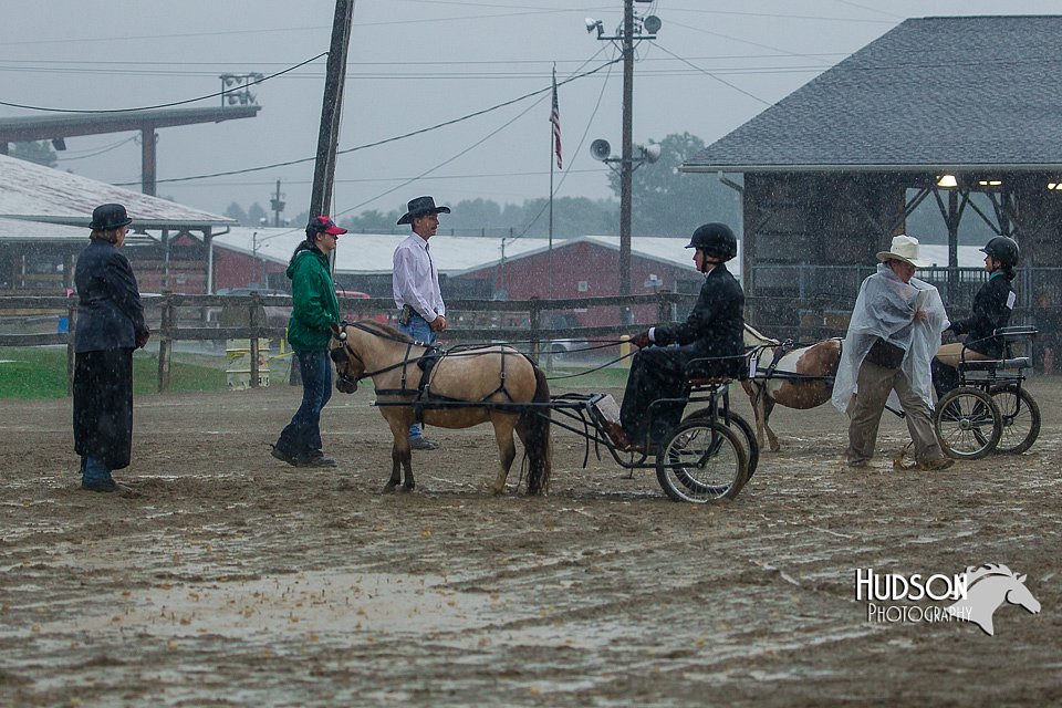 4H-3rd--073016-1518.jpg