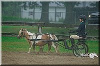 4H-3rd--073016-1496.jpg