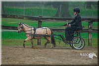 4H-3rd--073016-1503.jpg