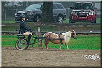 4H-3rd--073016-1510.jpg