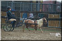 4H-3rd--073016-1512.jpg