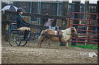 4H-3rd--073016-1513.jpg