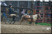 4H-3rd--073016-1514.jpg