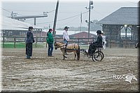 4H-3rd--073016-1516.jpg