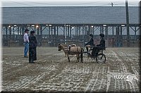 4H-3rd--073016-1524.jpg