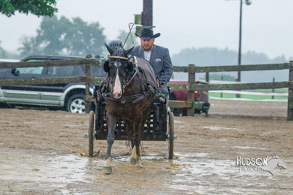 4H-3rd--073016-1562.jpg