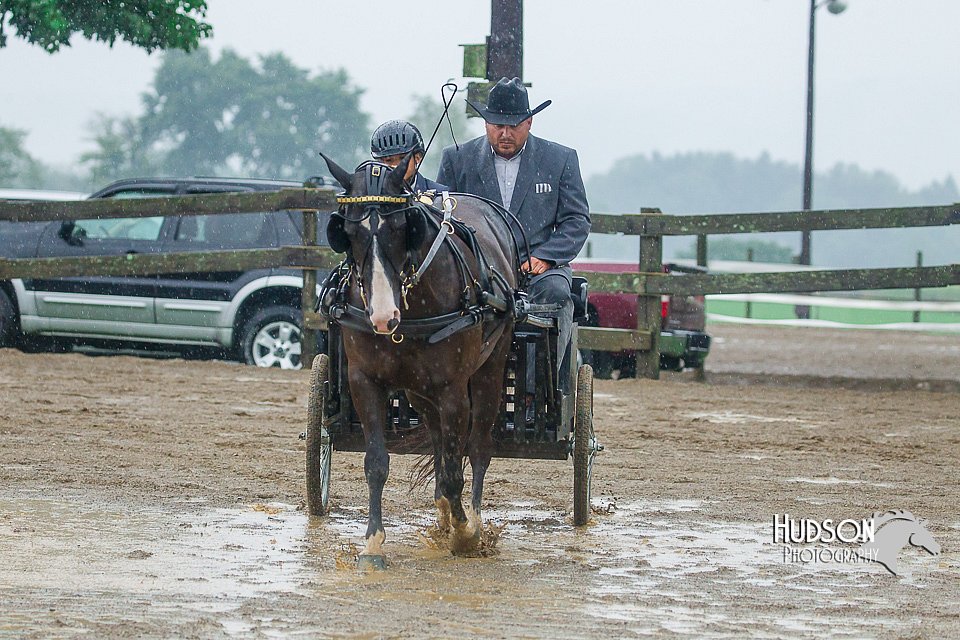4H-3rd--073016-1563.jpg
