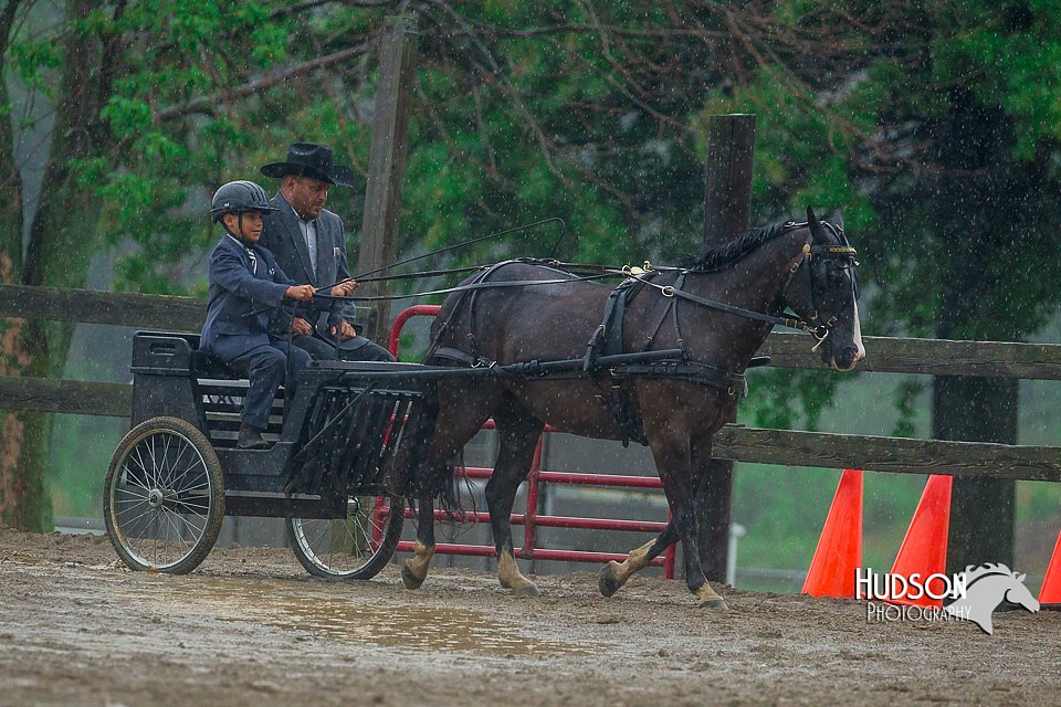 4H-3rd--073016-1571.jpg