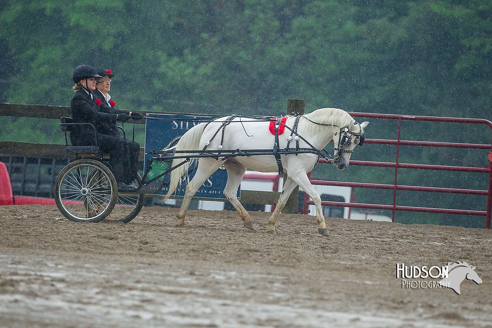 4H-3rd--073016-1572.jpg