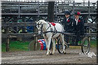 4H-3rd--073016-1529.jpg