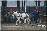 4H-3rd--073016-1538.jpg