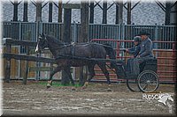 4H-3rd--073016-1545.jpg