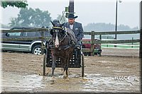 4H-3rd--073016-1562.jpg