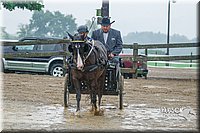 4H-3rd--073016-1563.jpg