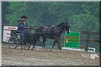 4H-3rd--073016-1567.jpg